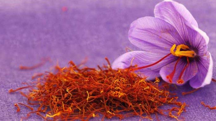Berbagai Manfaat Saffron Untuk Kesehatan