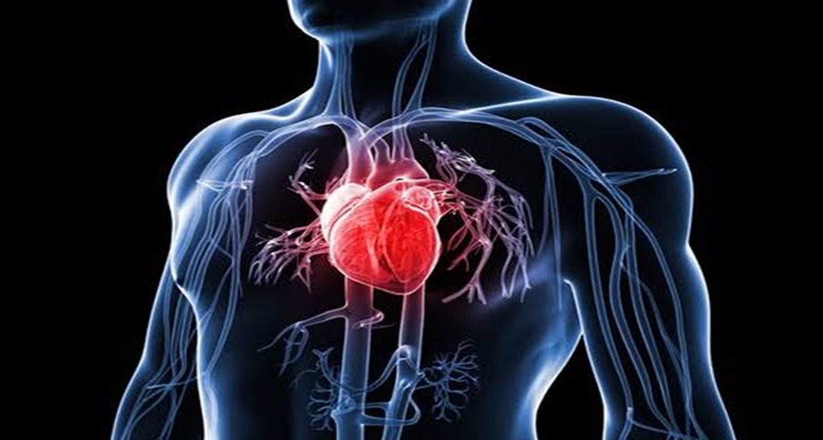 5 Indikasi Adanya Masalah pada Jantung