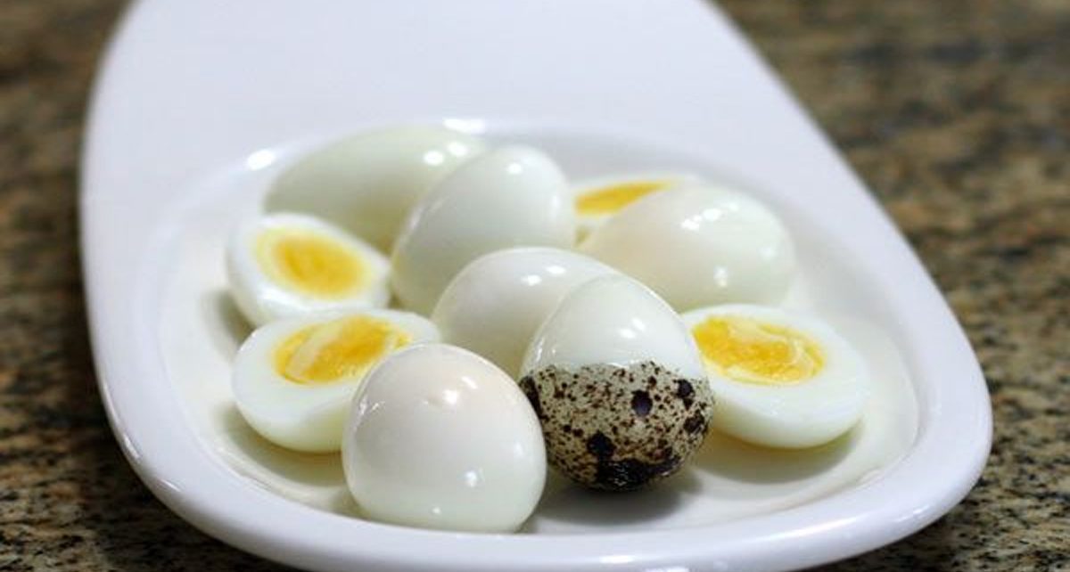 6 Bahaya Konsumsi Telur Puyuh Berlebihan