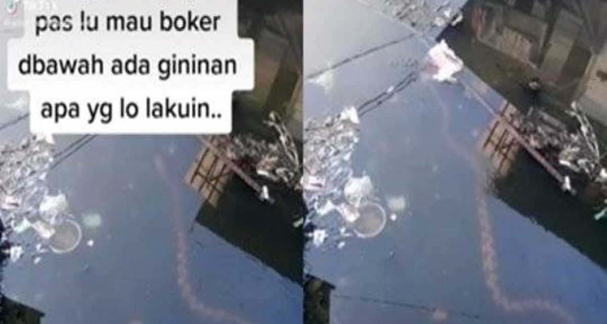 Ular Raksasa Muncul saat Warga BAB di Atas Kali Jakarta, Ada Videonya
