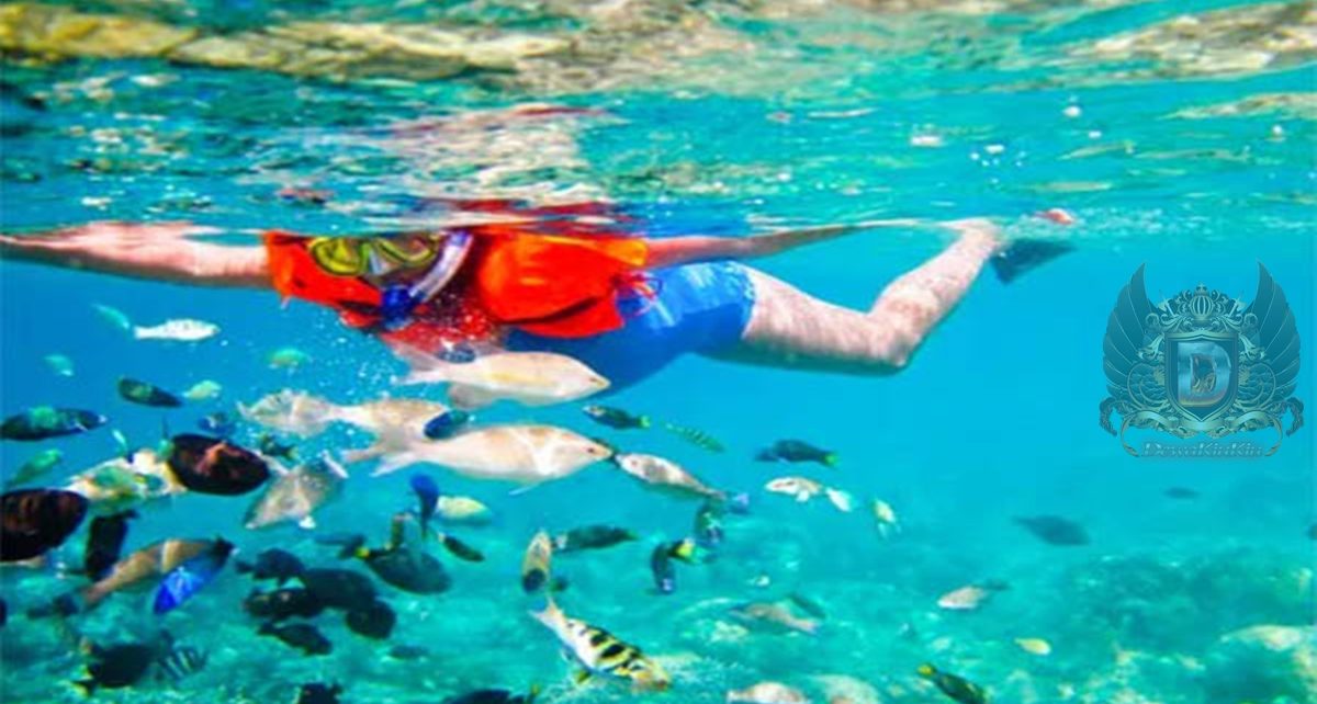 5 Spot Snorkeling di Lampung, Dipenuhi Terumbu Karang Cantik