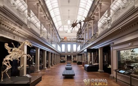 5 Museum Paling Unik di Belanda, Simpan Koleksi Menarik dan Menantang