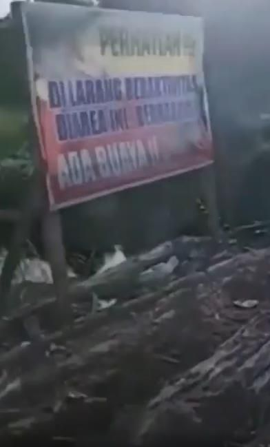 Detik detik Petani Diserang Buaya di Kalimantan