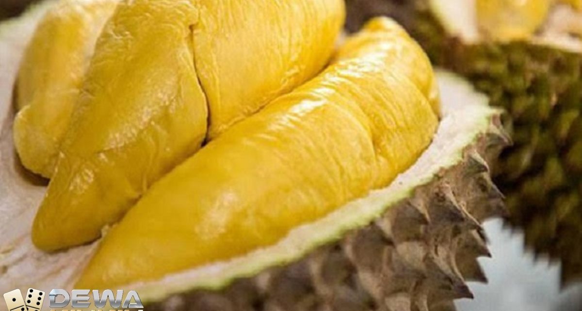 5 Fakta Durian yang Kaya Nutrisi, Waspada Juga Efek Sampingnya!