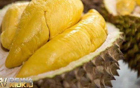 5 Fakta Durian yang Kaya Nutrisi, Waspada Juga Efek Sampingnya!