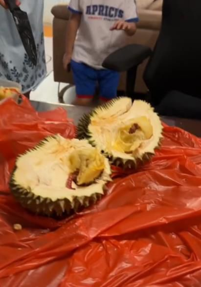 Belah Durian Langsung Syok Setelah Terbuka